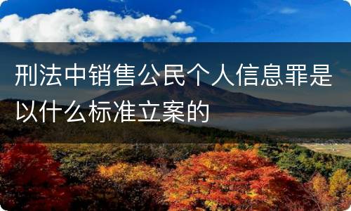 刑法中销售公民个人信息罪是以什么标准立案的