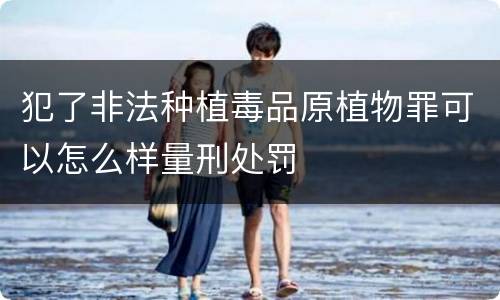犯了非法种植毒品原植物罪可以怎么样量刑处罚