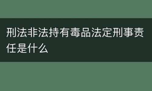 刑法非法持有毒品法定刑事责任是什么