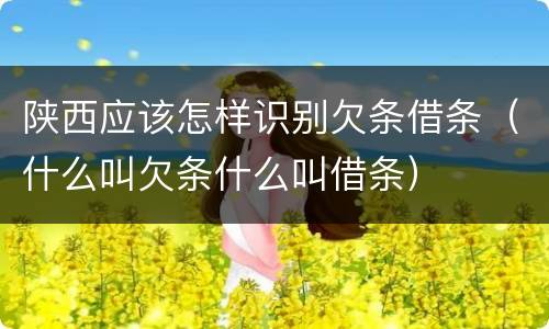 陕西应该怎样识别欠条借条（什么叫欠条什么叫借条）