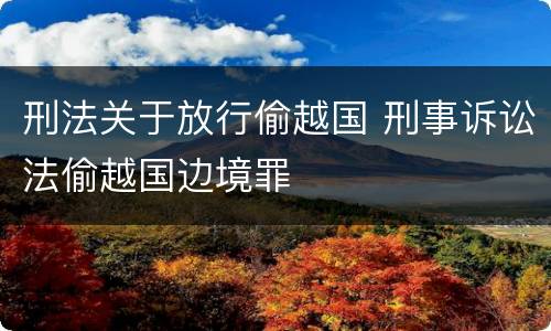 刑法关于放行偷越国 刑事诉讼法偷越国边境罪