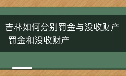吉林如何分别罚金与没收财产 罚金和没收财产