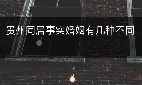 贵州同居事实婚姻有几种不同