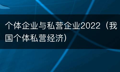 个体企业与私营企业2022（我国个体私营经济）