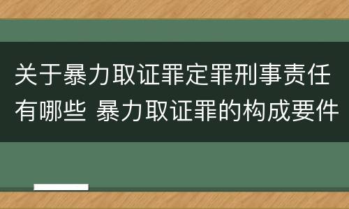 关于暴力取证罪定罪刑事责任有哪些 暴力取证罪的构成要件