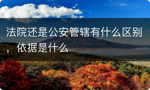 法院还是公安管辖有什么区别，依据是什么