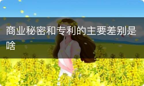 商业秘密和专利的主要差别是啥