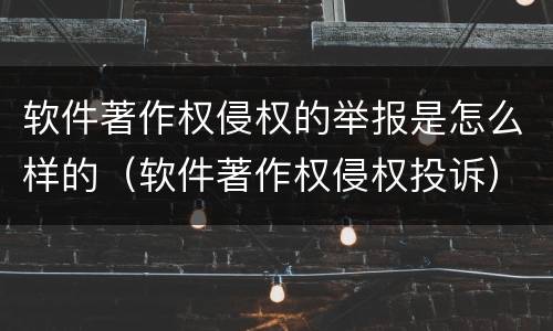 软件著作权侵权的举报是怎么样的（软件著作权侵权投诉）