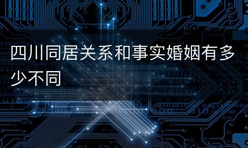 四川同居关系和事实婚姻有多少不同