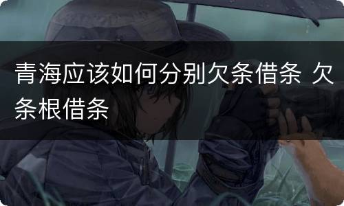 青海应该如何分别欠条借条 欠条根借条