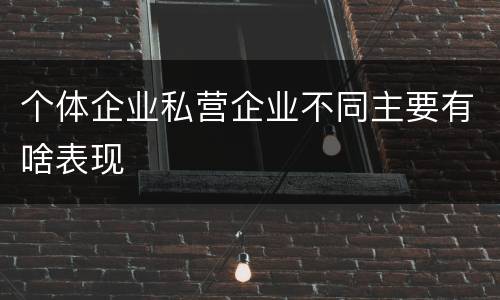 个体企业私营企业不同主要有啥表现