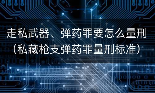 走私武器、弹药罪要怎么量刑（私藏枪支弹药罪量刑标准）