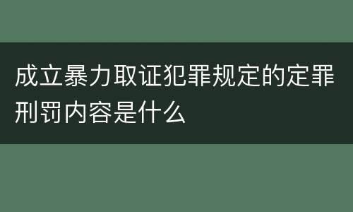 成立暴力取证犯罪规定的定罪刑罚内容是什么