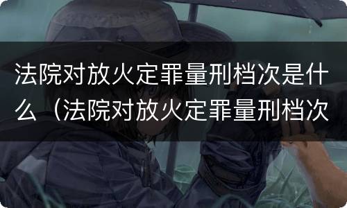 法院对放火定罪量刑档次是什么（法院对放火定罪量刑档次是什么规定）