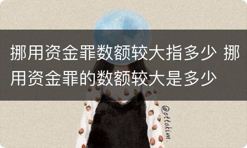 挪用资金罪数额较大指多少 挪用资金罪的数额较大是多少