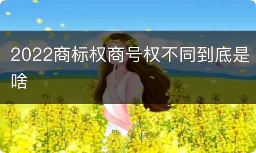 2022商标权商号权不同到底是啥