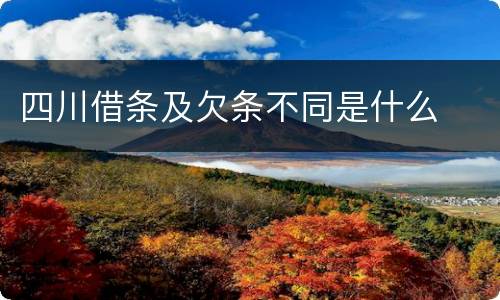四川借条及欠条不同是什么