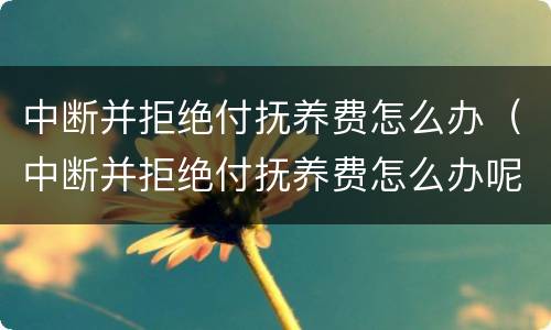 中断并拒绝付抚养费怎么办（中断并拒绝付抚养费怎么办呢）