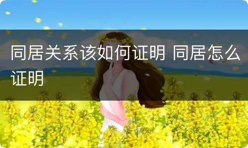 同居关系该如何证明 同居怎么证明