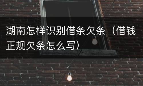 湖南怎样识别借条欠条（借钱正规欠条怎么写）