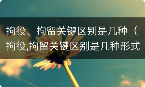 拘役、拘留关键区别是几种（拘役,拘留关键区别是几种形式）