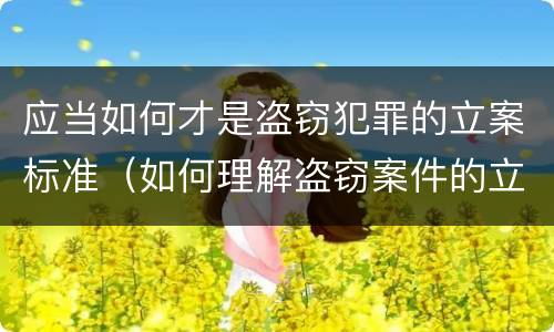 应当如何才是盗窃犯罪的立案标准（如何理解盗窃案件的立案标准）