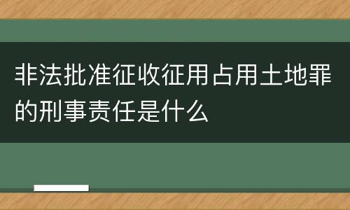 非法批准征收征用占用土地罪的刑事责任是什么