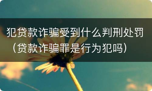 犯贷款诈骗受到什么判刑处罚（贷款诈骗罪是行为犯吗）