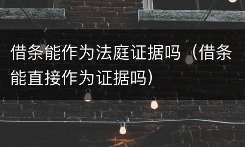 借条能作为法庭证据吗（借条能直接作为证据吗）