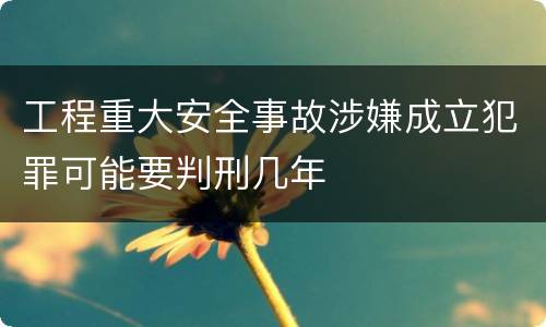 工程重大安全事故涉嫌成立犯罪可能要判刑几年