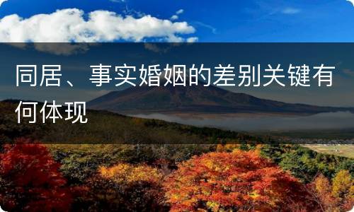 同居、事实婚姻的差别关键有何体现