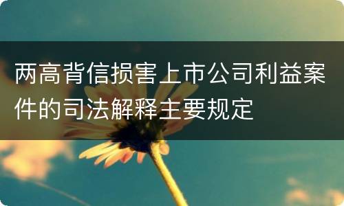 两高背信损害上市公司利益案件的司法解释主要规定