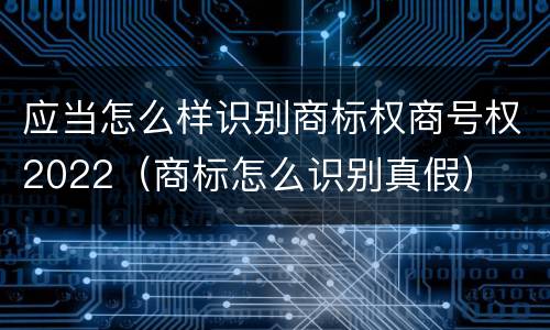 应当怎么样识别商标权商号权2022（商标怎么识别真假）