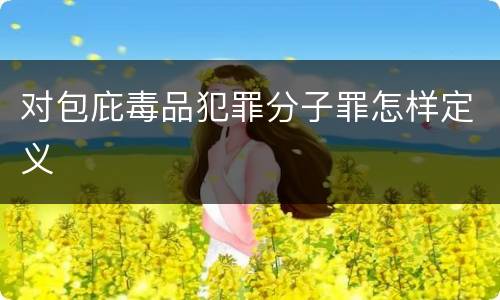 对包庇毒品犯罪分子罪怎样定义