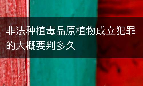 非法种植毒品原植物成立犯罪的大概要判多久
