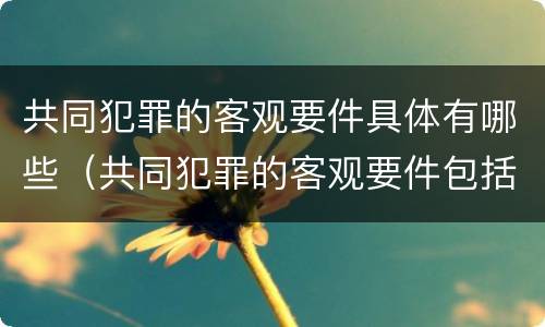 共同犯罪的客观要件具体有哪些（共同犯罪的客观要件包括）