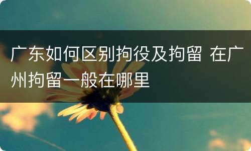 广东如何区别拘役及拘留 在广州拘留一般在哪里