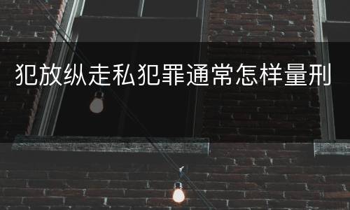 犯放纵走私犯罪通常怎样量刑