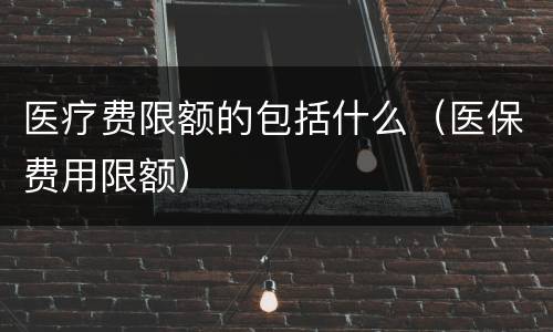 医疗费限额的包括什么（医保费用限额）