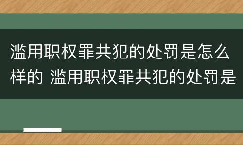 滥用职权罪共犯的处罚是怎么样的 滥用职权罪共犯的处罚是怎么样的情形