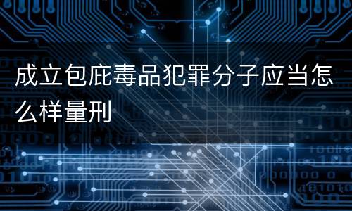成立包庇毒品犯罪分子应当怎么样量刑