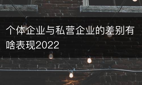个体企业与私营企业的差别有啥表现2022