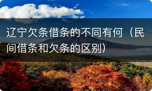 辽宁欠条借条的不同有何（民间借条和欠条的区别）