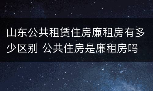 山东公共租赁住房廉租房有多少区别 公共住房是廉租房吗