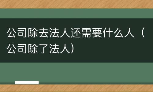 公司除去法人还需要什么人（公司除了法人）