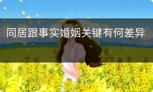 同居跟事实婚姻关键有何差异