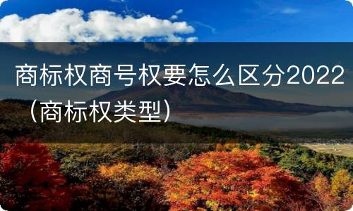 商标权商号权要怎么区分2022（商标权类型）