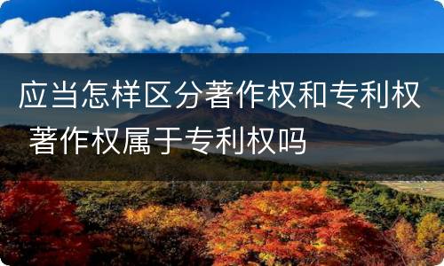 应当怎样区分著作权和专利权 著作权属于专利权吗