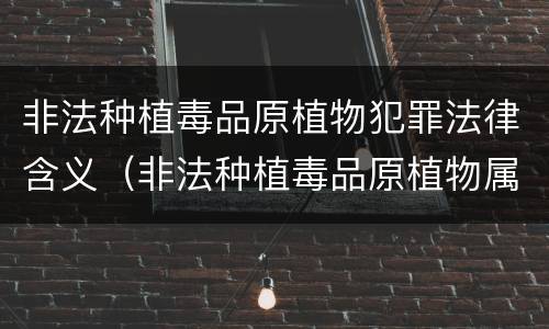 非法种植毒品原植物犯罪法律含义（非法种植毒品原植物属于什么犯罪类型）