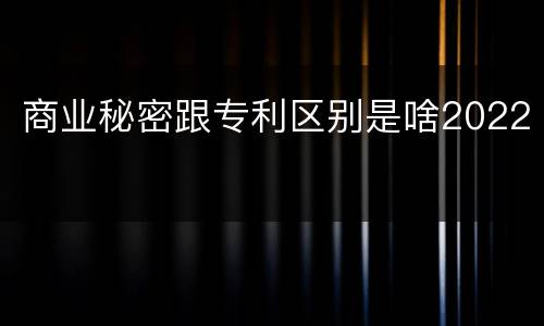 商业秘密跟专利区别是啥2022